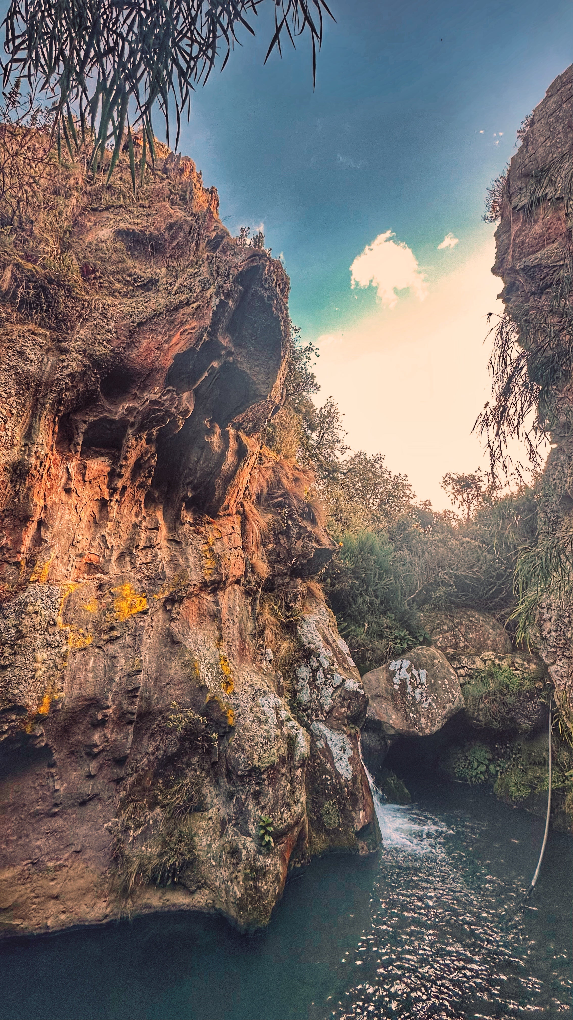 PARAMO CRUISE — 1-Day Quest The páramo isn’t landscape — it’s a mirror in disguise. Walk it, and walk yourself.