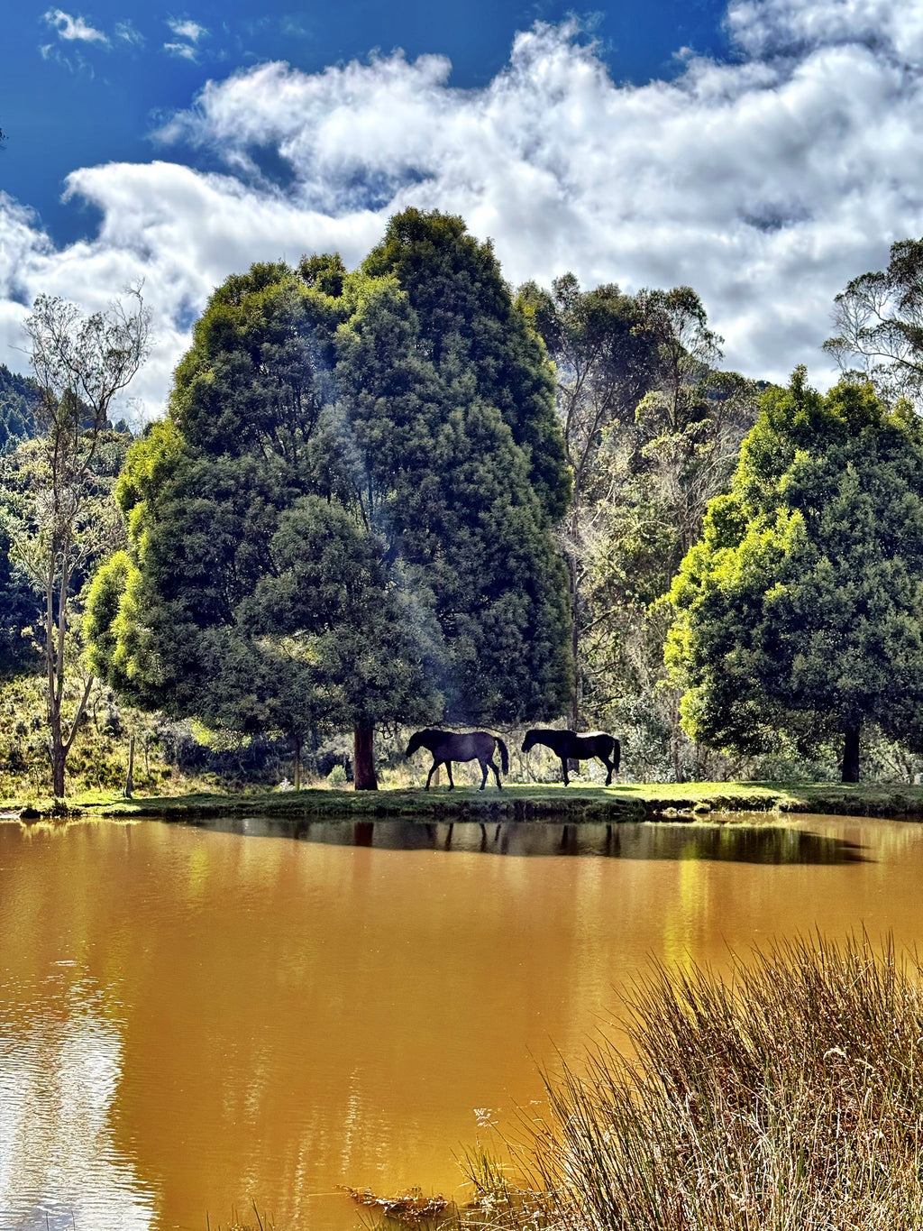 IKTOMI: THE LAKOTA WEAVE RETREAT October 18–19. Fire. Stones. Breath. Rebirth. A two-day initiation in Okiro, the Living Temple of the Andes. (Copy)