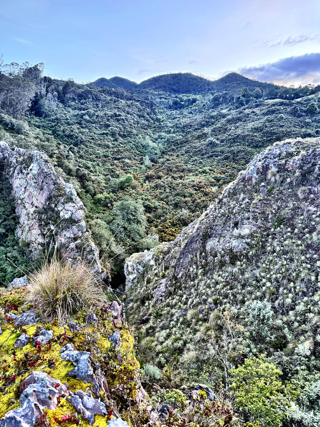 IKTOMI: THE LAKOTA WEAVE RETREAT October 18–19. Fire. Stones. Breath. Rebirth. A two-day initiation in Okiro, the Living Temple of the Andes. (Copy)