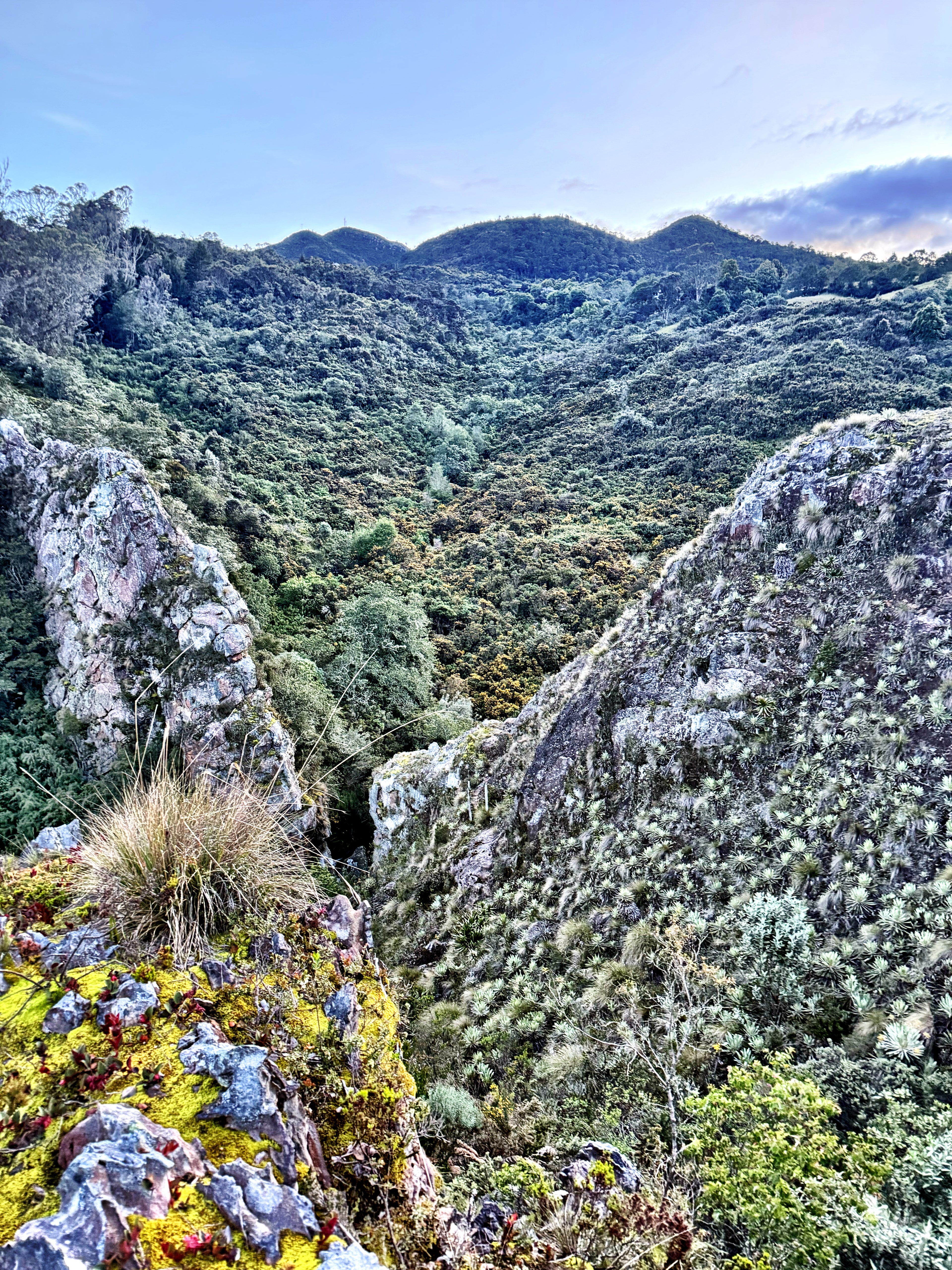 IKTOMI: THE LAKOTA WEAVE RETREAT October 18–19. Fire. Stones. Breath. Rebirth. A two-day initiation in Okiro, the Living Temple of the Andes. (Copy)