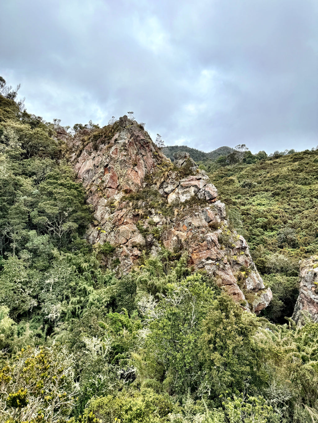 PARAMO CRUISE — 1-Day Quest The páramo isn’t landscape — it’s a mirror in disguise. Walk it, and walk yourself.