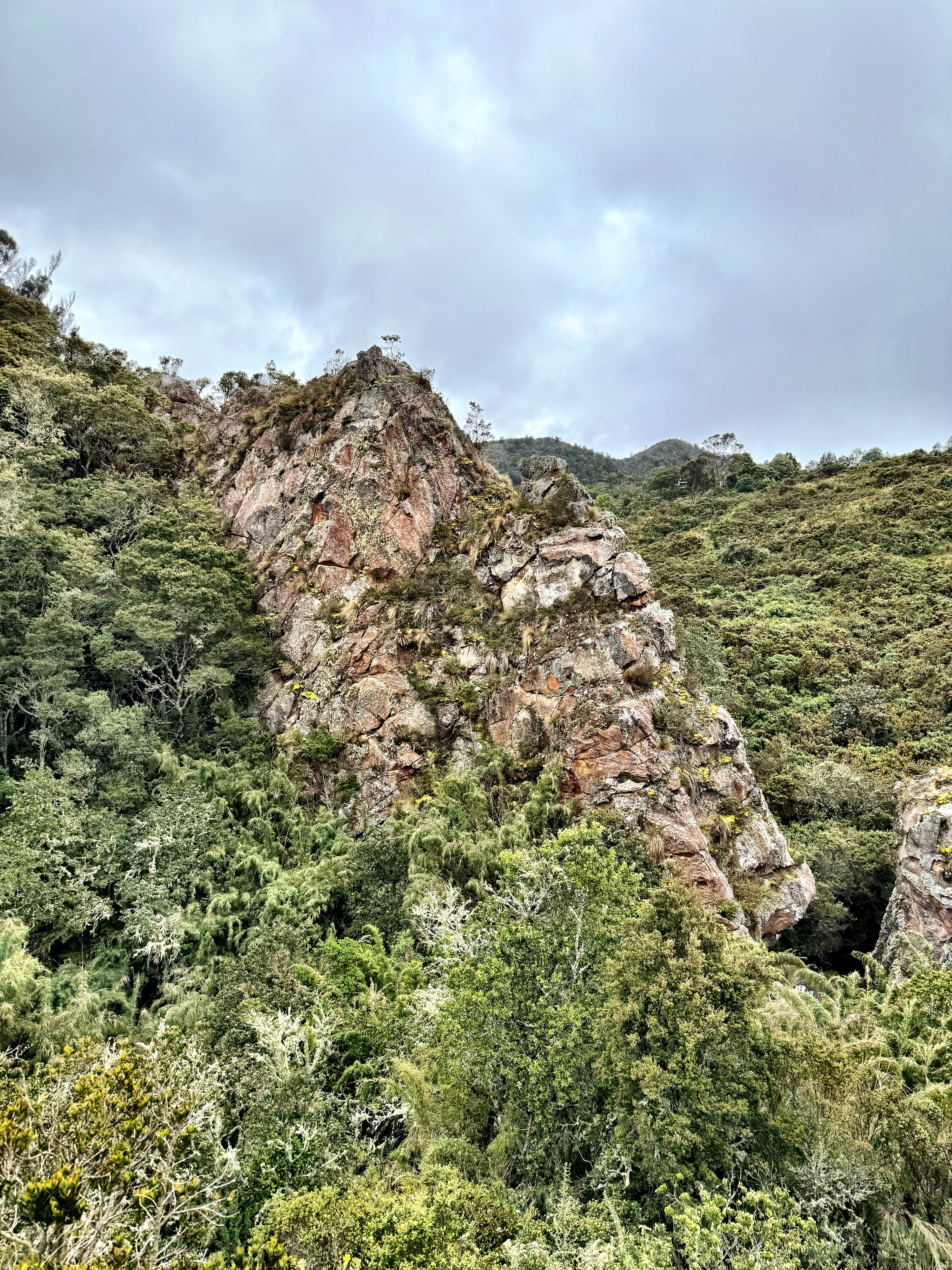 PARAMO CRUISE — 1-Day Quest The páramo isn’t landscape — it’s a mirror in disguise. Walk it, and walk yourself.