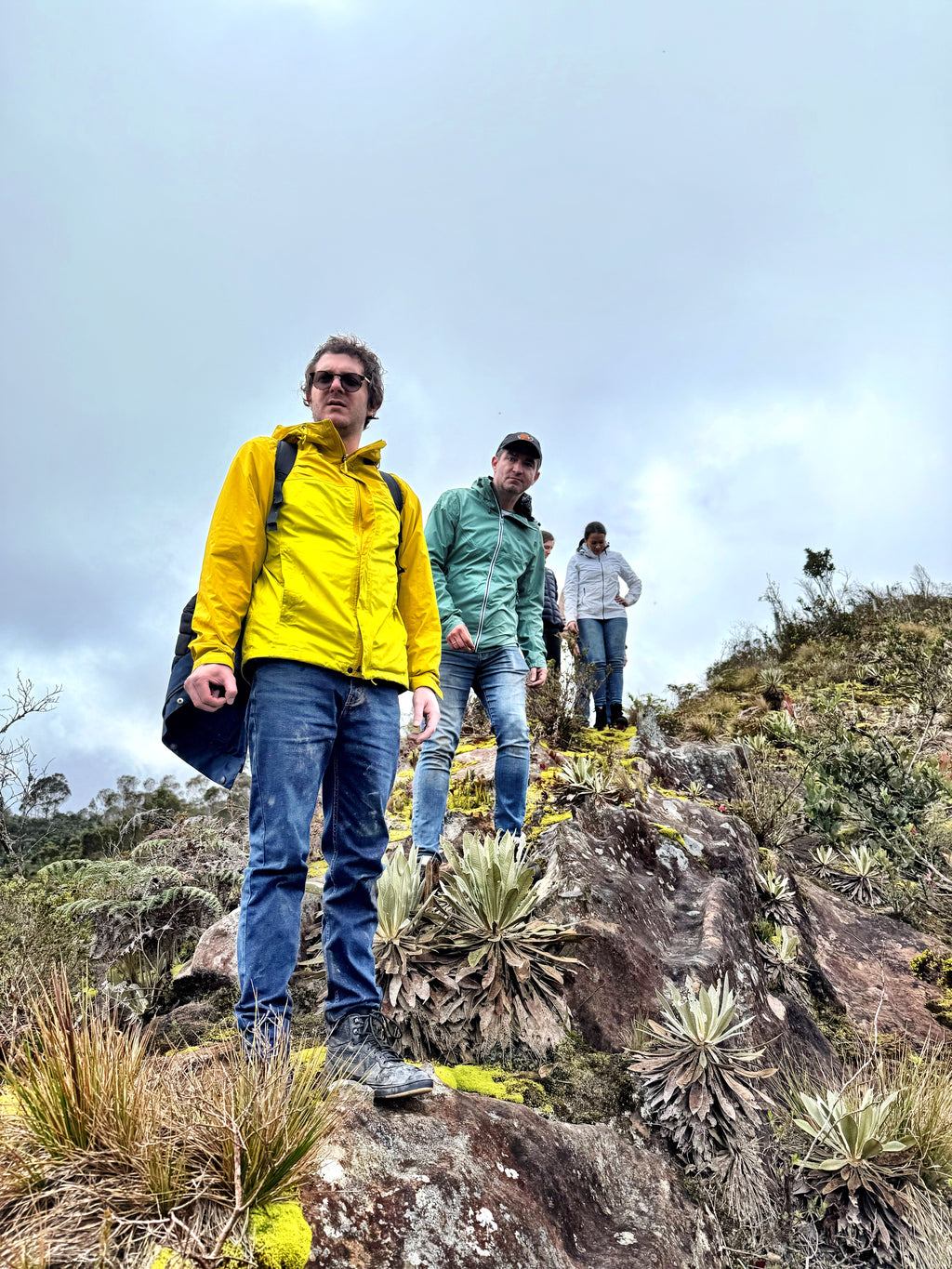 IKTOMI: THE LAKOTA WEAVE RETREAT October 18–19. Fire. Stones. Breath. Rebirth. A two-day initiation in Okiro, the Living Temple of the Andes. (Copy)